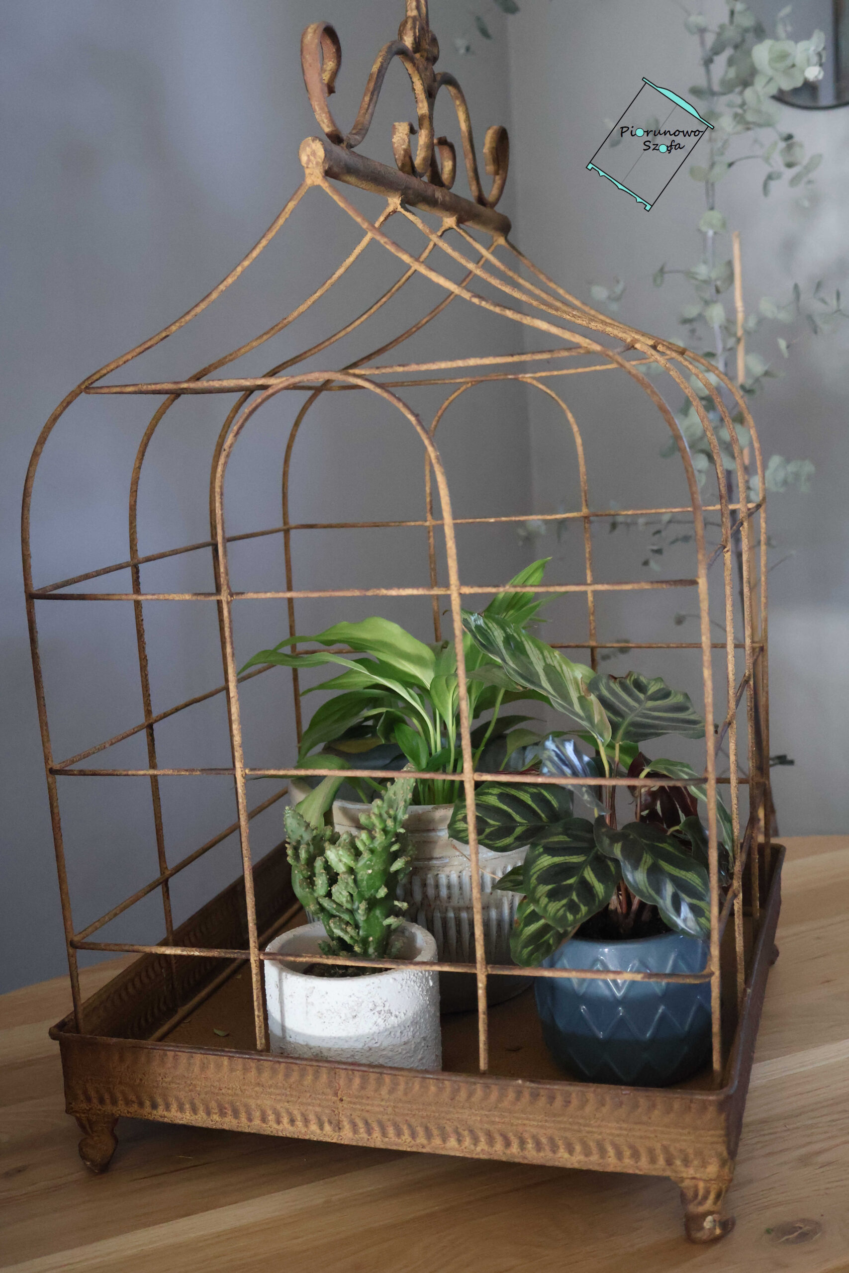 Dekoracyjna klatka metalowa rdzawa średnia