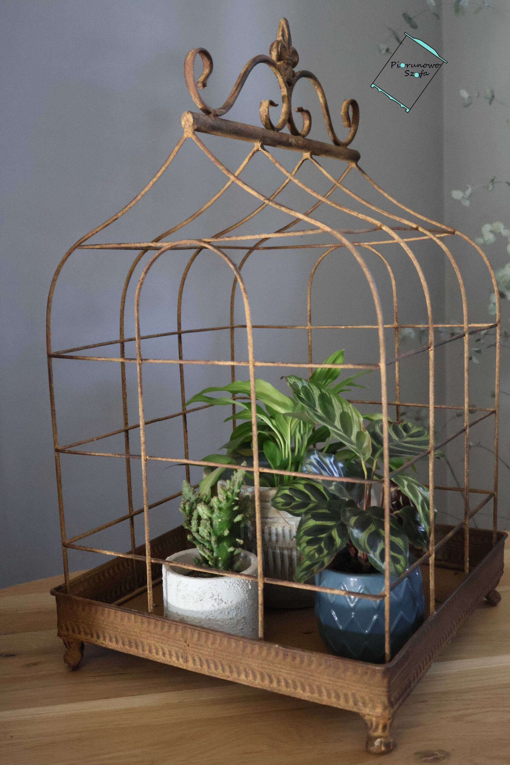 Dekoracyjna klatka metalowa rdzawa średnia