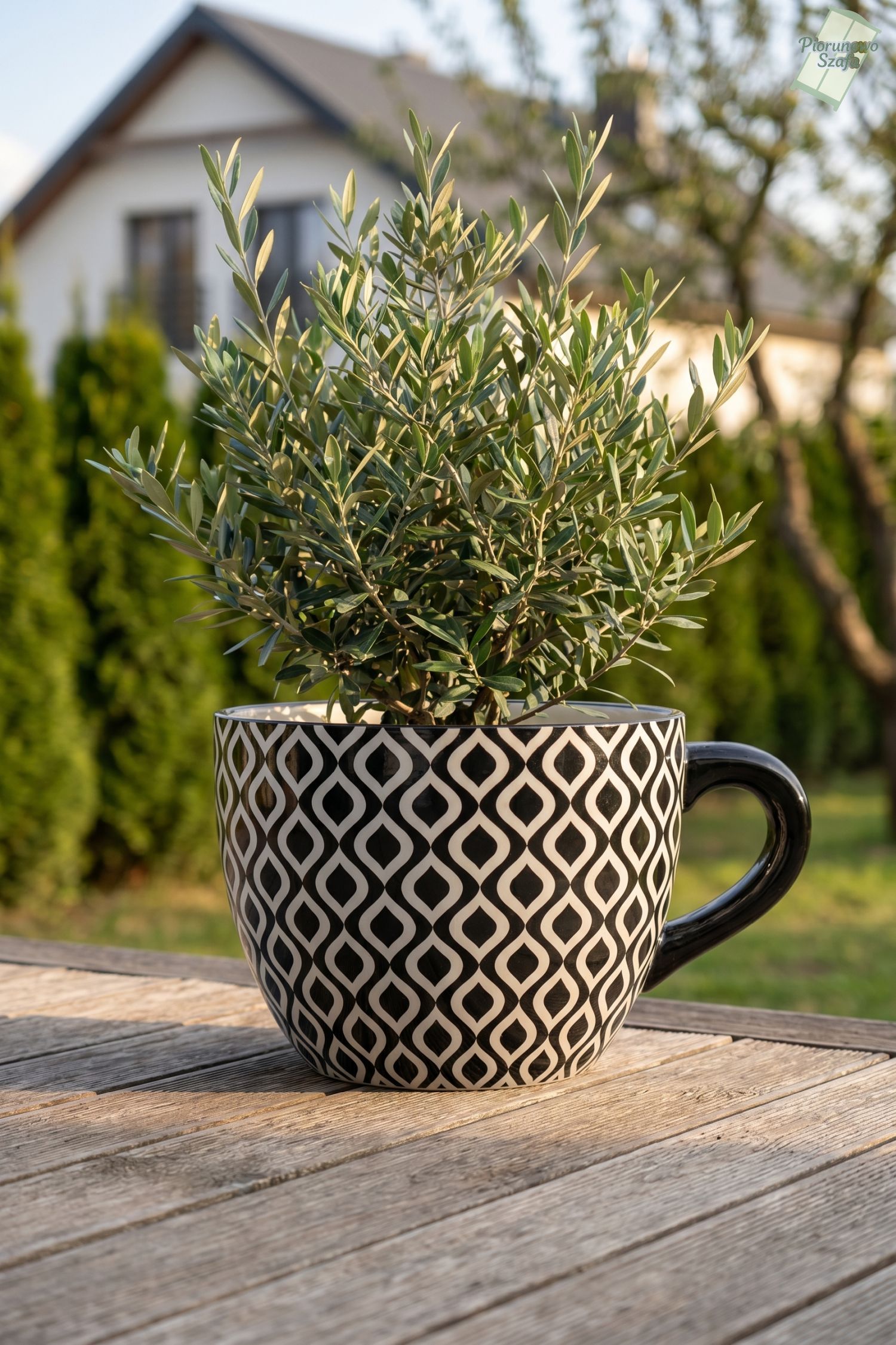 Donica, osłonka ceramiczna, w formie filiżanki czarno-białe maroko
